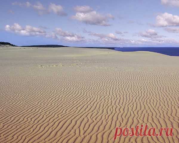 дюны