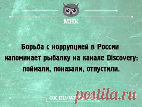 ⇩ ⇩ ⇩ ⇩ ⇩ ⇩ ⇩ ⇩ ⇩ ⇩ ПРОДОЛЖЕНИЕ ТЕМЫ ⇩ ⇩ ⇩ ⇩ ⇩ ⇩ ⇩ ⇩ ⇩ ⇩
#котик