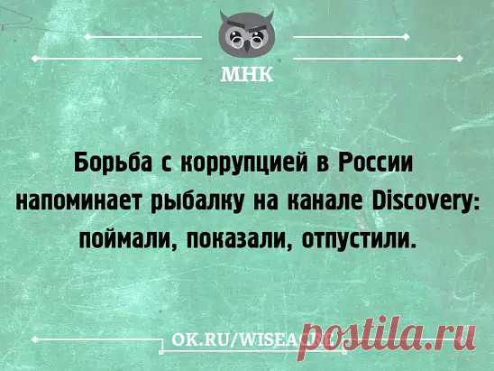 ⇩ ⇩ ⇩ ⇩ ⇩ ⇩ ⇩ ⇩ ⇩ ⇩ ПРОДОЛЖЕНИЕ ТЕМЫ ⇩ ⇩ ⇩ ⇩ ⇩ ⇩ ⇩ ⇩ ⇩ ⇩
#котик