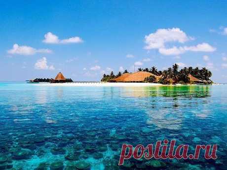 ещё одна версия Баунти