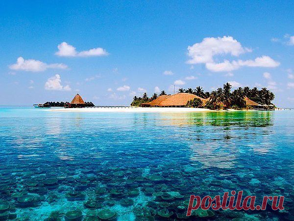 ещё одна версия Баунти