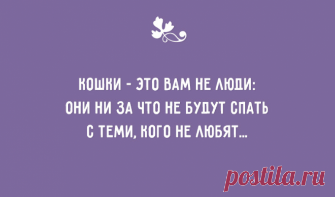 20+ жизненных открыток от мастеров сарказма