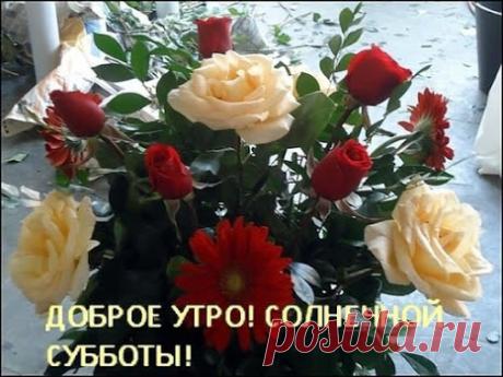 Лучшие открытки на Вконтакте и Мой Мир, отправленные за последние 24 часа из 3D галереи