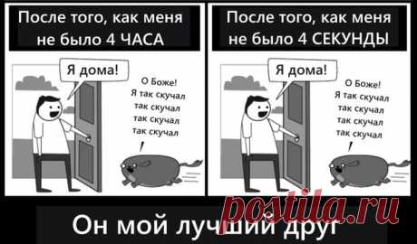 Комиксы, которые заставят смеяться любого собачника | Все о наших питомцах