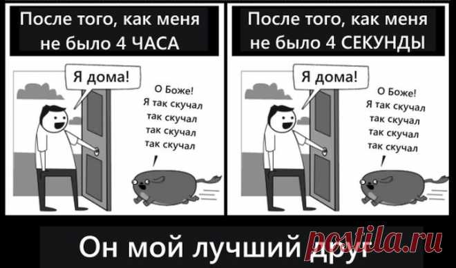 Комиксы, которые заставят смеяться любого собачника | Все о наших питомцах