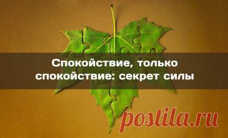Нереальная красота фракталов. Релакс для друзей
