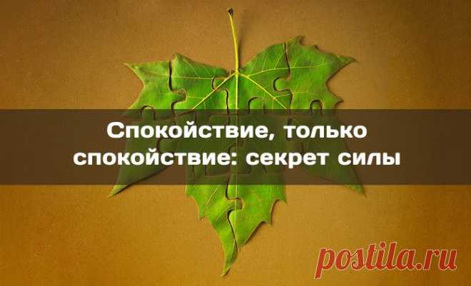 Нереальная красота фракталов. Релакс для друзей