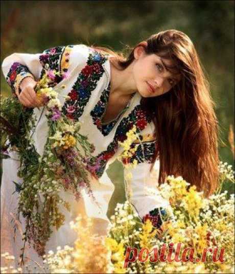 НАТУРАЛЬНЫЕ СРЕДСТВА ДЛЯ МЫТЬЯ ВОЛОС. | Женский журнал