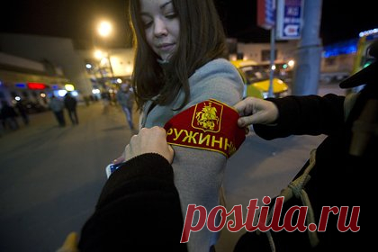 В Госдуме поддержали создание дружин для защиты традиционных ценностей