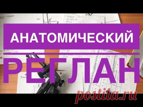 Считаем анатомический реглан/ разбор на конкретном свитере