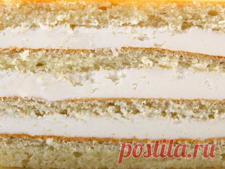 Торт на Новый год №2738 купить в Москве по выгодной цене | Кондитерская «На Большевике»