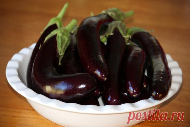 Запекаю баклажаны в духовке, фарширую и закатываю. Делюсь своим рецептом на зиму | Вкусно и полезно | Яндекс Дзен