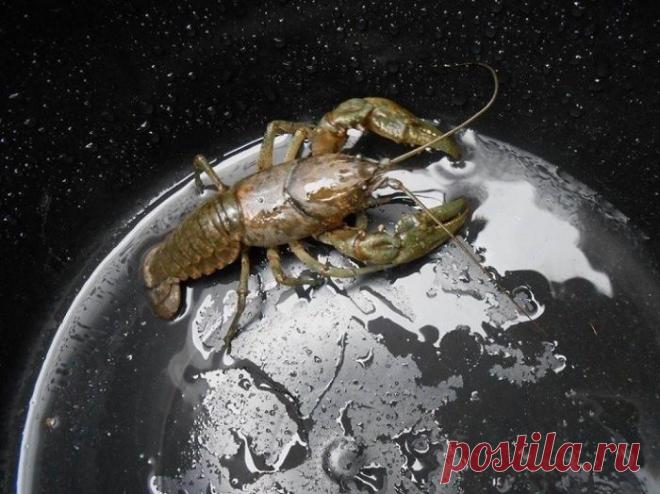 30 снимков, которые показывают, что уникальные кадры можно получить без помощи фотошопа