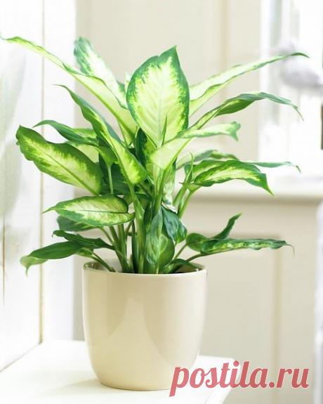 Ефросинья 38: чем прекраснее женщина - тем больше грязных рук к ней тянется