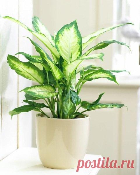 Ефросинья 38: чем прекраснее женщина - тем больше грязных рук к ней тянется