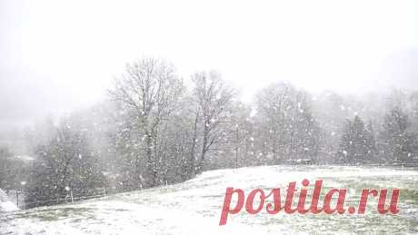 Комментарии к теме