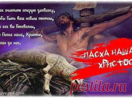 Mihalyuk Viktoriia