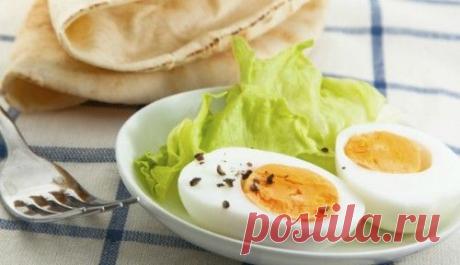 Самые популярные завтраки из куриных яиц: 4 рецепта / Простые рецепты