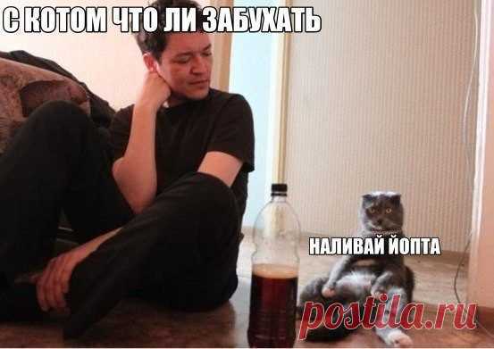 Прикольные картинки с подписями / Приколы