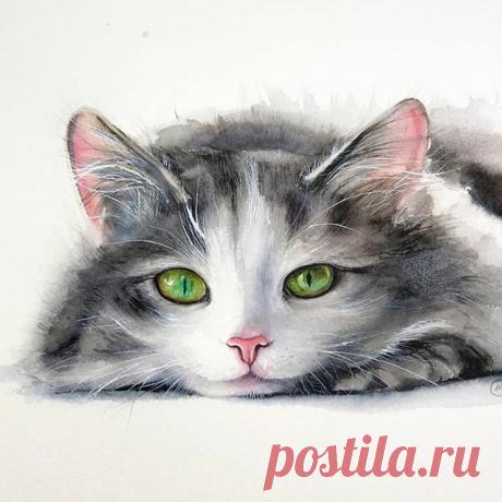 Художница Maria Raczynska и ее верные друзья