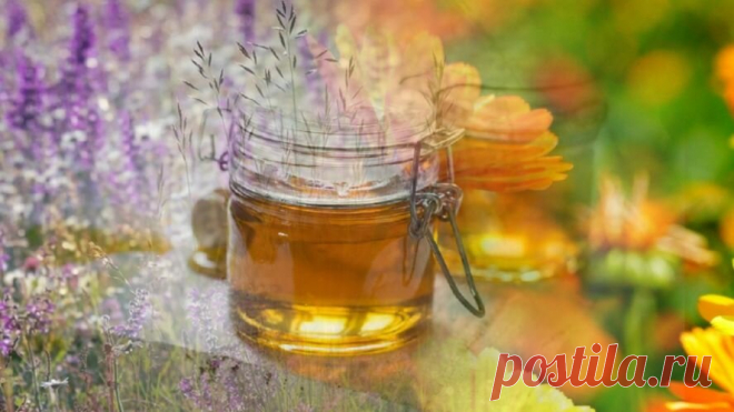 Медовая вода для роста и густоты волос. Волосы становятся блестящими, эластичными, не секутся, не выпадают | ✧Сама себе косметолог✧ | Яндекс Дзен