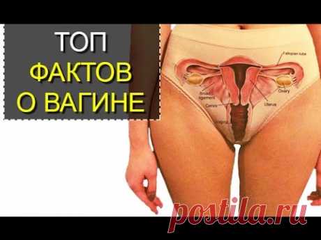 ТОП 5 необычных фактов о Влагалище