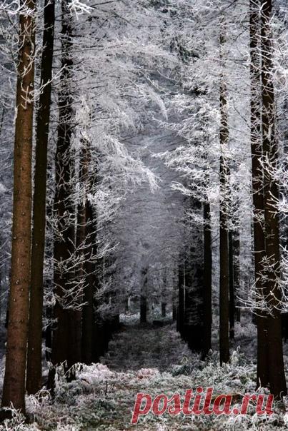Кто созерцал величие природы, тот и сам стремится к совершенству и гармонии. Наш внутренний мир должен уподобляться этому образцу. В чистой атмосфере все чисто.

Оноре де Бальзак, 