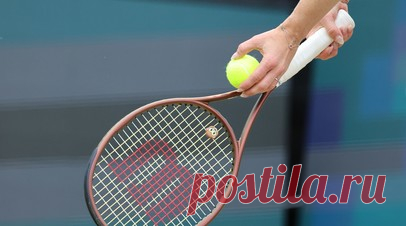WTA не накажет теннисисток за участие в российском турнире. Женская теннисная ассоциация (WTA) не будет подвергать санкциям игроков, которые примут участие в турнире «Трофеи Северной Пальмиры» в России. Читать далее