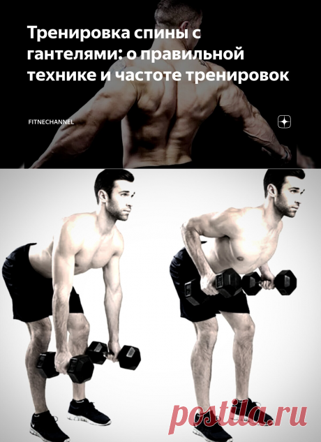 Тренировка спины с гантелями: о правильной технике и частоте тренировок | fitnechannel | Дзен