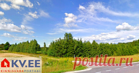Müüa maatükk -  Kasemäe, Kaimi, Elva vald, Tartumaa Müüa Kasemäe kinnistu Elva vallas, Tartust 15 km kaugusel Kaimi külas. Osaline järelmaksu võimalus.

Krusamäe tee küljel kasvab noor kasealle. Kinnistu lõunaosas kasvavad noored männi-ja kuusepuud. Kinnistut läbib Kureküla oja.
hea juurdepääs Kruusamäe teelt. Hinna sisse kuulub elektriliitumine 3 X 16 A. Tiigi rajamise võimalus. Looduskaunis koht uue kodu rajamiseks.

Igasuguse lisainfo saamiseks palun helistage või kirju...