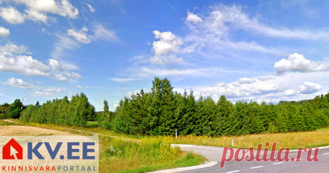 Müüa maatükk -  Kasemäe, Kaimi, Elva vald, Tartumaa Müüa Kasemäe kinnistu Elva vallas, Tartust 15 km kaugusel Kaimi külas. Osaline järelmaksu võimalus.

Krusamäe tee küljel kasvab noor kasealle. Kinnistu lõunaosas kasvavad noored männi-ja kuusepuud. Kinnistut läbib Kureküla oja.
hea juurdepääs Kruusamäe teelt. Hinna sisse kuulub elektriliitumine 3 X 16 A. Tiigi rajamise võimalus. Looduskaunis koht uue kodu rajamiseks.

Igasuguse lisainfo saamiseks palun helistage või kirju...