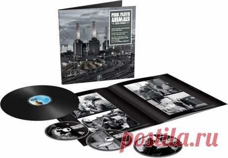 Pink Floyd Albums Ranked Best to Worst