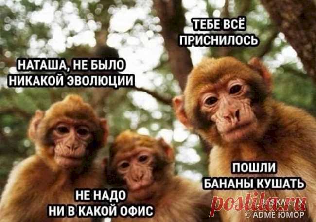 b50a064d.jpg (650×456)