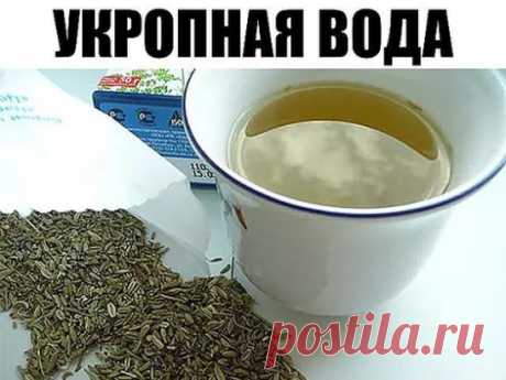 2 стакана этого питья в день помогут похудеть и снизить сахар в крови! Только семена и кипяток.
Все знают, что младенцам назначают укропную воду для профилактики проблем с желудком и кишечником. Но, оказывается, укропная вода для взрослых не менее полезна!
Это чудодейственное питье поможет похудеть и снизить сахар в крови. Укропную воду можно считать отличной профилактикой диабета! Рекомендуется принимать этот напиток регулярно при сердечной недостаточности, циррозе печени и вздутии живота.Подум