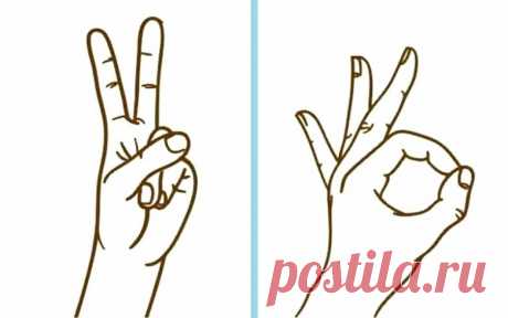 Сохранить ясный ум в старости можно, ежедневно выполняя 4 простых упажнения