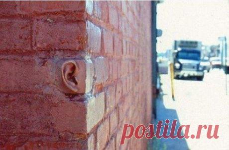 (58) Одноклассники