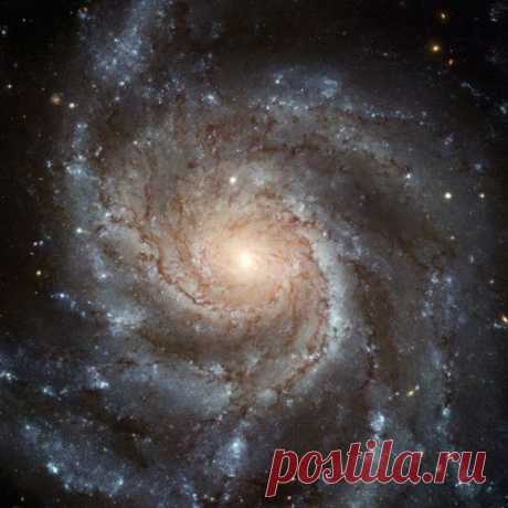 10 Ребёнок Индиго Саша – об изменениях на Земле
