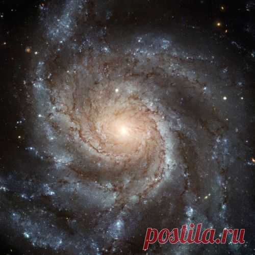 10 Ребёнок Индиго Саша – об изменениях на Земле
