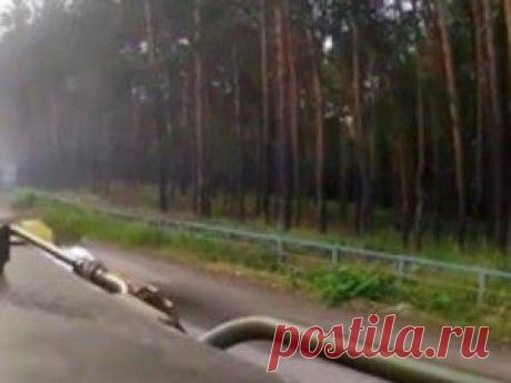 Кулинарные секреты для сексуального долголетия | Советы Народной Мудрости