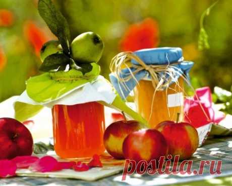 Рецепты варенья из яблок с фруктами, ягодами и другими добавками / Простые рецепты