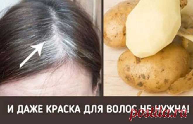 Натуральное средство от седых волос