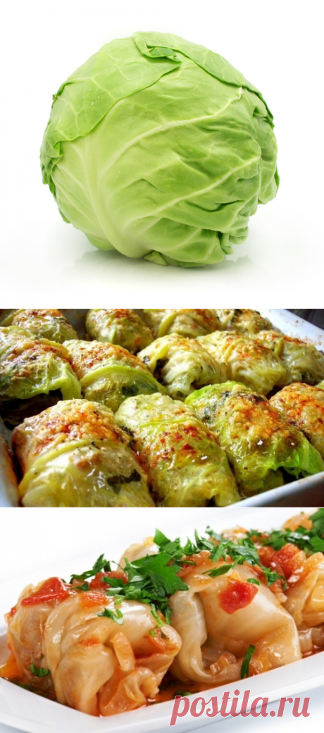 Готовим голубцы: 5 лучших начинок на любой вкус - FamilyBoom.ru