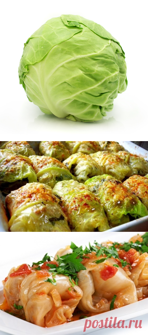 Готовим голубцы: 5 лучших начинок на любой вкус - FamilyBoom.ru
