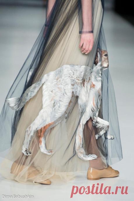 Русские борзые Парфеновой Модная одежда и дизайн интерьера своими руками