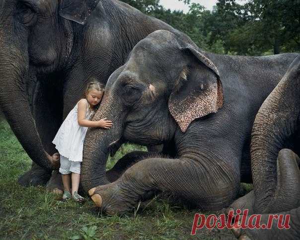 Фотограф из Нью-Джерси Робин Шварц уже в течение 10 лет фотографирует свою дочь Амелию с различными дикими и домашними животными - Путешествуем вместе