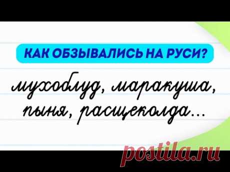 Как обзывались на Руси? 12 старинных русских слов, о которых вы не знаете! | Словарный запас