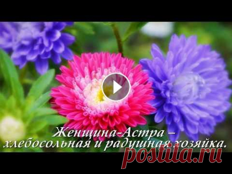 АСТРА.  Цветочный гороскоп. Цветочный гороскоп для родившихся 12 - 22 сентября...