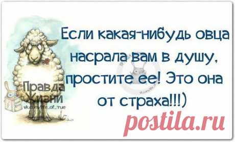 (30) Одноклассники