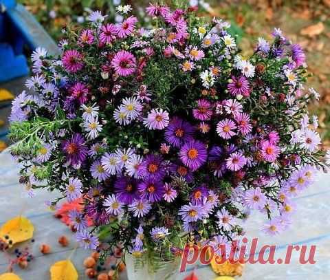 Как обработать края шифона. Оригинальный способ узкой подгибки