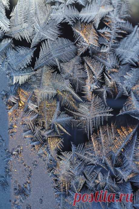 Фотография Случайность из раздела макро №5739398 - фото.сайт - Photosight.ru